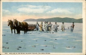 Oregon OR Hauling in the Seine, Salmon Fishing Horse Multnomah County Oregon - Picture 1 of 2