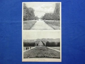 Il Parco Reale di Monza nel 1889: La Stella - Viale dei Palloni al Mirabello - Picture 1 of 1