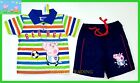 New Peppa Pig George Polo Top Tshirt Shorts Kids Summer Boys 2pc Outfit Set