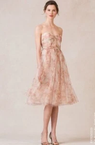 Jenny Yoo Annabelle formelles Brautjungfer trägerloses Blumen Chiffon Kleid Größe 4 - Bild 1 von 11