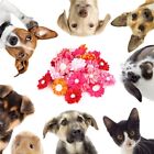 30PCS Colorful Pet Dog Hair Bows With Pearl Decor For Puppy Small Cats Groom Rhs