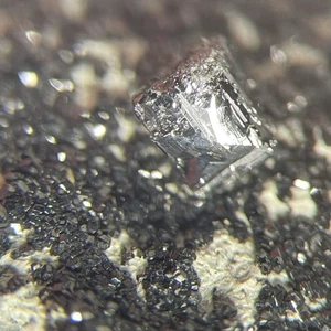 Perowskit Kristall mit Andradit Granat San Benito Co Kalifornien USA - Bild 1 von 11