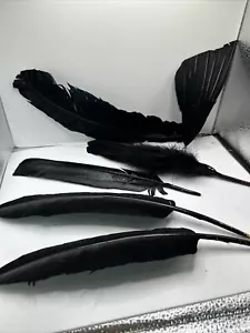 Vtg LOT 6 Ostrich Plumes Feathers Fascinator Millinery Costume Black Mixed Lot - Picture 1 of 10