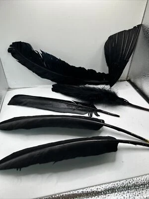 Vtg LOT 6 Ostrich Plumes Feathers Fascinator Millinery Costume Black Mixed Lot - Image 1 of 4