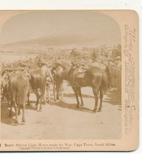 Südafrikanisches leichtes Pferd kriegsbereit Kapstadt Burenkrieg SA Stereoview 1900 - Bild 1 von 3
