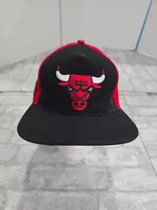 Chicago Bulls Mesh Pro Standard Snapback Hat 6 time NBA Finals Champions - Picture 1 of 11