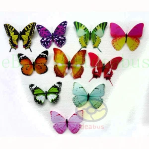 8/16/24/48 STCK. MiXED Butterfly Kühlschrank KÜHLSCHRANKMAGNET Spannweite 13 cm = 4,7 ~ 5,5 Zoll - Bild 1 von 10