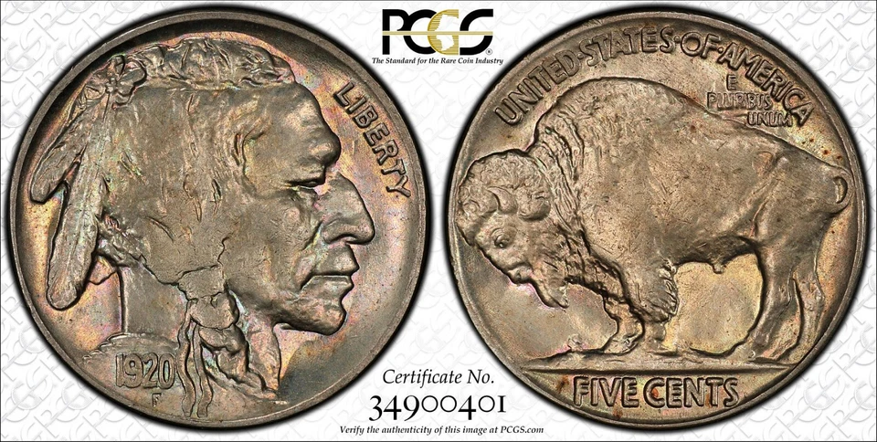 1920 5c Buffalo Nickel PCGS MS65 Gold Shield (DEJ) - Image 1 of 4