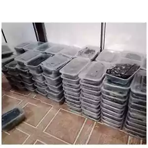 Shilajit Calidad Superior 100% Puro de Pakistán Gilgit Salajeet Himalaya 1 kg - Imagen 1 de 12