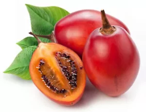 Más de 10 semillas de tamarillo rojo ~Solanum becateum ~ Cyphomandra becatea ~ tomate árbol - Imagen 1 de 1