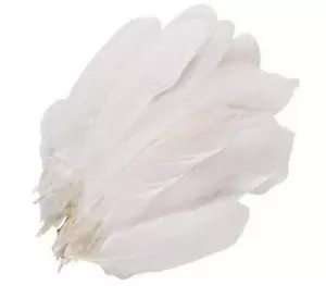 100PCS 6-9" White Goose Feathers for DIY Wedding Christmas & Party Decor - Picture 1 of 8