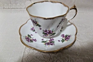 SALISBURY CUP & SAUCER SET BONE CHINA MADE IN ENGLAND - Picture 1 of 2