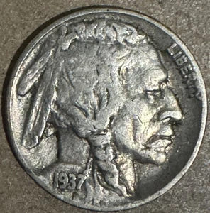 Buffalo Nickel - 1937 P - United States - 5 Cents Coin - US Nickel - 5¢ - Picture 1 of 2