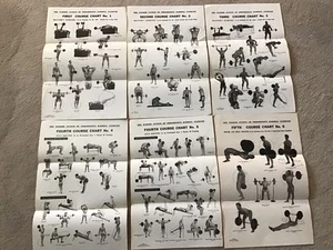 6 Stück WEIDER SYSTEM PROGRESSIVE LANGHANTEL ÜBUNG Poster ORIGINALKURS - Bild 1 von 20