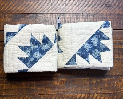 Juego de 2 fundas acolchadas Pottery Barn Lucia King nuevas sin etiquetas Foto 1 de 3