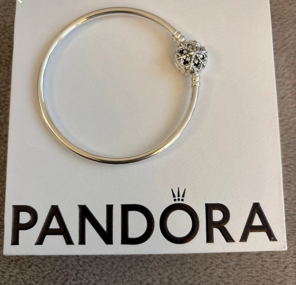 Pandora Moments Armreif Silber Größe 17 - Bild 1 von 1