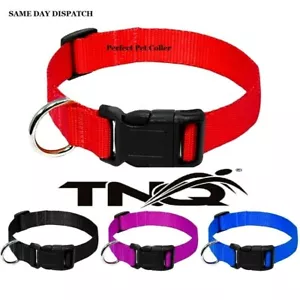 Dog Puppy Collars Nylon Adjustable 3 sizes 4 colors Car safety leads, Harness uk - Picture 1 of 16