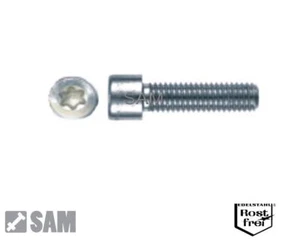 Zylinderkopfschrauben mit TORX ISO 14579 A2 Edelstahl V2A M6X10 bis M6X50 - Bild 1 von 1