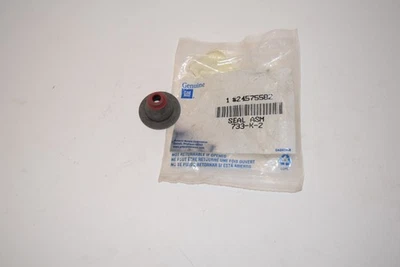 NOS 1x Vástago de válvula de sello genuino GM 24575582 B13-156 Foto 1 de 3