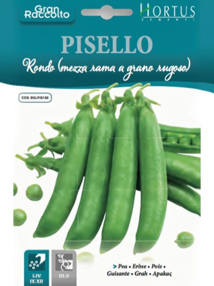 CASCIAROAGRICOLTURA PISELLO RONDO (MEZZA RAMA A GRANO RUGOSO) SCATOLA DA 250 GR.