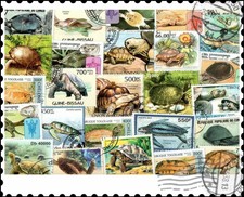 Tartarughe : 25 francobolli diversi Collezione