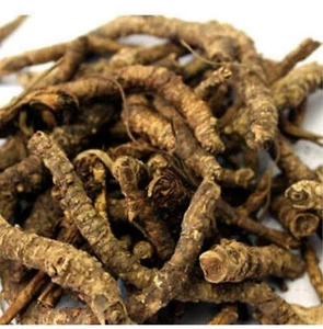Kutki - 50Grm - Picroriza Kurroa - Hellabore - Katukarogani Root - Kadu - Katuka - Picture 1 of 4