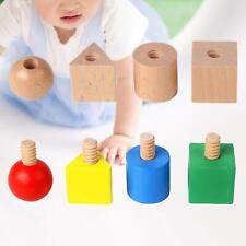 Montessori Sorting Games Shape Matching Nut for Children Age 1-3 Year Old