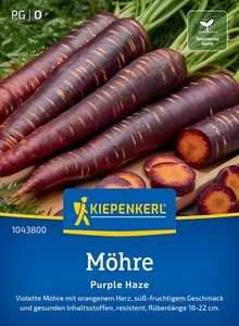 MÖHRE " Purple Haze " F1 violette Urmöhre Süß-fruchtig Samen 1043800 - Bild 1 von 1