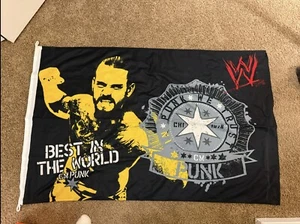 WWE CM Punk Display Banner Flag 2013 Officially Licensed In Punk We Trust 28x43" - Picture 1 of 1