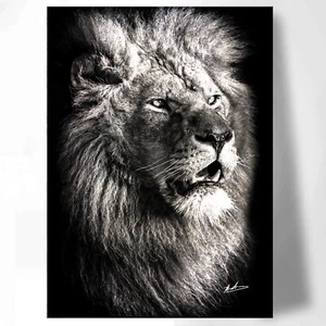 LEINWAND BILD LÖWE TIERE WANDBILDER XXL WOHNZIMMER ABSTRAKTE BILDER MODERN 3582A - Bild 1 von 7