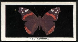 Tobacco Card, Godfrey Phillips, BRITISH BUTTERFLIES, 1927, Red Admiral, #16 - Picture 1 of 2