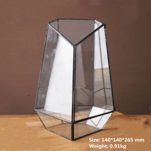 Micro Landscape Clear Glass Vase Metal Geometry Glass Flower Pot Planter - Picture 1 of 10