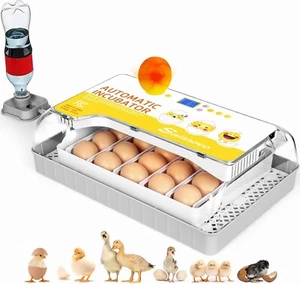 20~60 Egg Incubators w/Automatic Turner, Humidity Display, Candler&Temp Control# - Picture 1 of 8