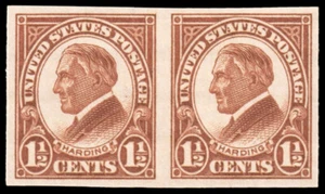 USA Scott 576 horizontales Paar (1925) neuwertig neuwertig mit Etikett sehr guter Zustand, CV 7,20 W - Bild 1 von 1