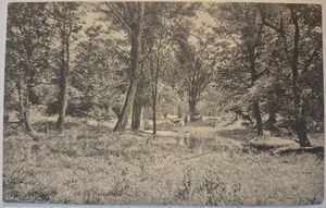 Cartolina d'epoca sugli appartamenti Oneonta mucche di New York AA120 - Foto 1 di 2