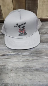 Vtg Budweiser Bud Light Spuds Mackenzie Snapback Hat Gray Snapback - Picture 1 of 3