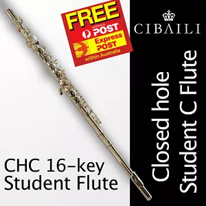 C foot Student Flute • BRAND NEW CIBAILI CWFL-518 CHC • Case • Free Express Post - Picture 1 of 12