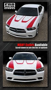 Dodge Charger Hood Scallop Accent & Side Stripes Decals 2011 2012 2013 2014 - Picture 1 of 2