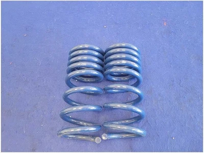 2015-2020 Mustang Shelby GT350 Ford Racing Rear Lowering Springs 960 - Imagem 1 de 4