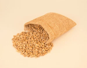 Maltmaster Crushed Golden Promise malta 1 kg - Imagen 1 de 1
