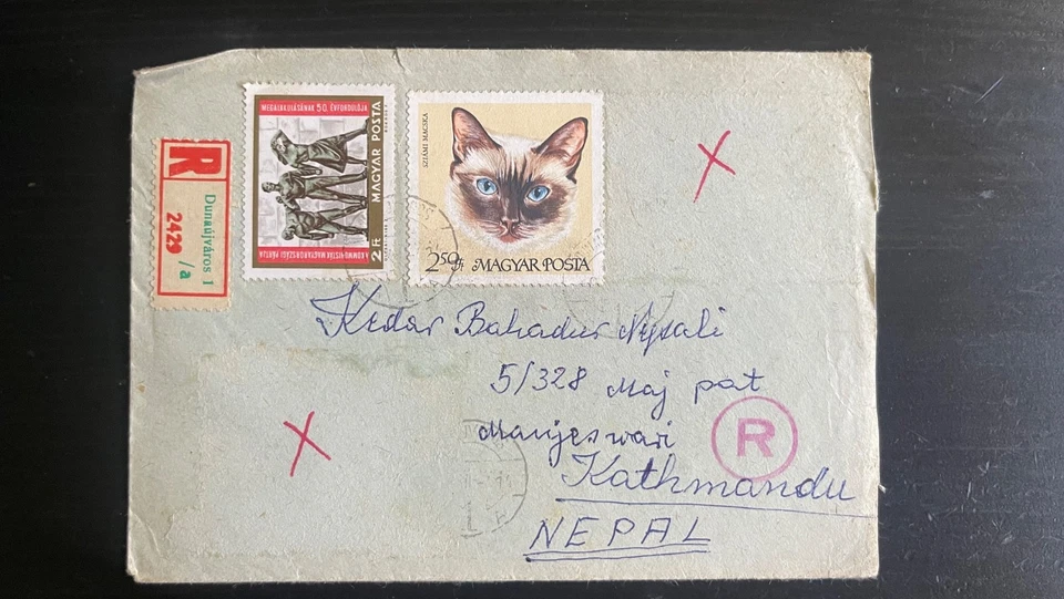 Hungría 1969 cubierta registrada a Nepal - franqueo mixto con sello de gato siamés, Foto 1 de 2