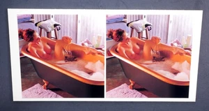 Boris Starosta 3D Stereoview - Michelle A198- nude model signed 2008 #267 - Picture 1 of 2