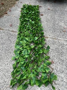 10ft X2ft Green Leaf Foliage Wall Backdrop Party Expandable Photo Backgrounds - Picture 1 of 5