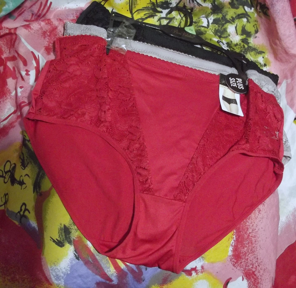 3 Prima Valentina 871079x Microfiber PK Lace Panels Brief Panties 3x