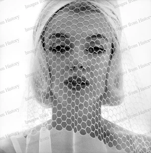 Impresionante retrato de Marilyn Monroe con impresión 8x10 de su última sesión de fotos en 1962 - Imagen 1 de 1