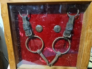Original Pair of U.S. ARMY Brass Rosettes With HORSE/MULE HARNESS In Wood Case - Picture 1 of 7