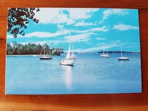 Postcard - Carry Bay - North Hero - Vermont - Picture 1 of 2