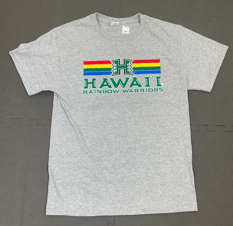 Hawaii Rainbow Warriors Shirt Adult Medium M Gray Casual Retro Hanes Cover