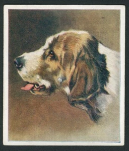 OTTERHOUND GODFREY PHILLIPS OUR DOGS SERIES 1939 DOG CIGARETTE CARD #30 - Picture 1 of 2