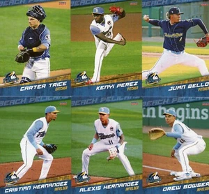 2024 Myrtle Beach Pelicans Minor League Single Card A Chicago Cubs - You Pick! - Picture 1 of 12